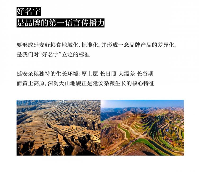 地域腔調(diào)！雜糧品牌VI設(shè)計
