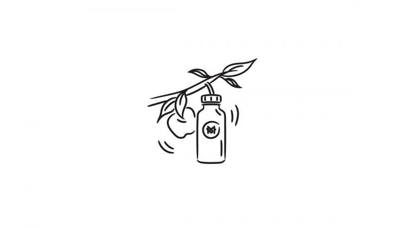 自然色系！果汁品牌VI設(shè)計(jì)