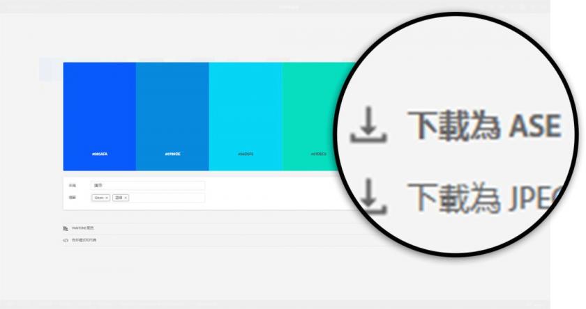 我刪除了所有配色網站，只留下這一個