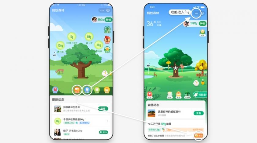 超5億用戶的螞蟻森林，是如何做好體驗設(shè)計的？