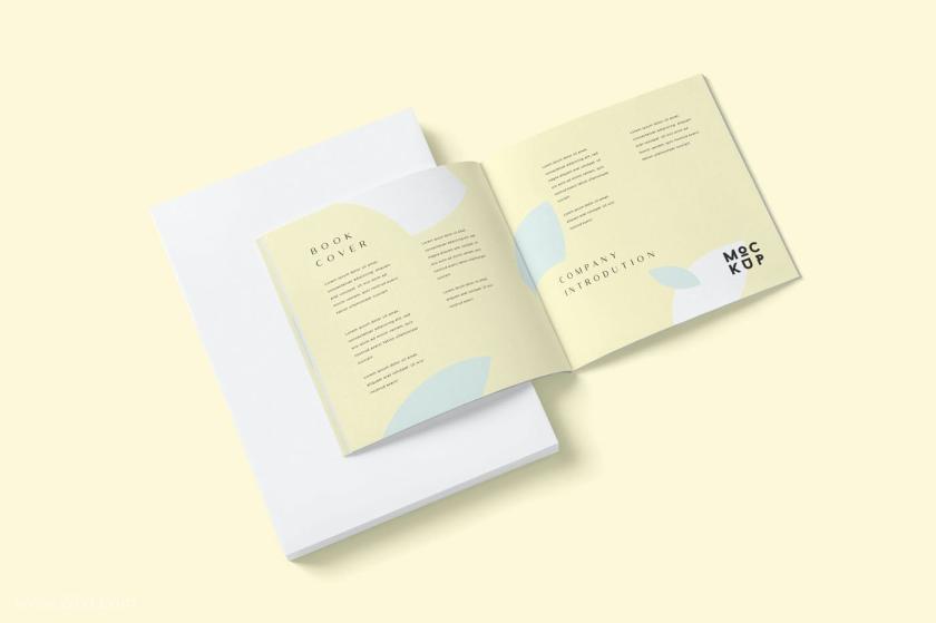 25xt-6500038 SlimSquareBookCoverMockupsz5.jpg