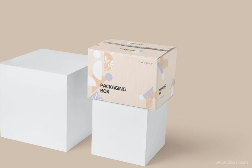 25xt-6500041 LargeRectangularCardboardPackagingBoxMockupsz5.jpg