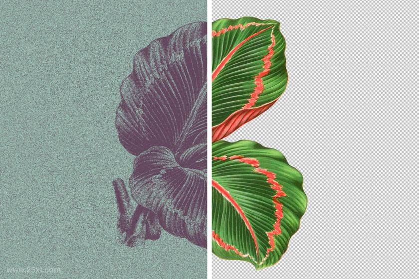 25xt-126263 RisographGrainEffectforPhotoshopz6.jpg