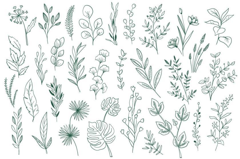25xt-126164 CollectionHandDrawnFloralDecorativeElementz7.jpg