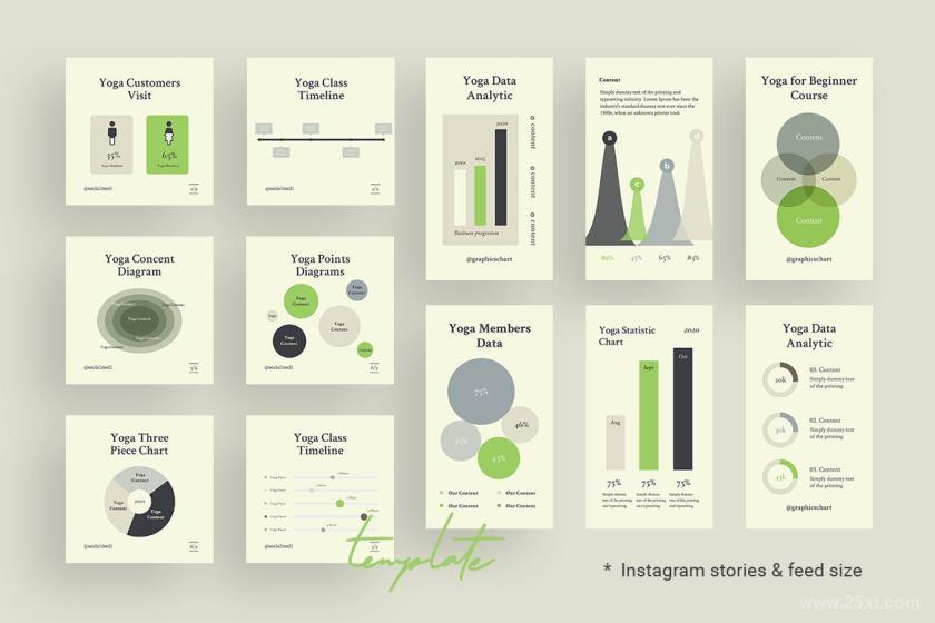 25xt-126668 ChartsGraphsInstagramTemplatesforYogaV2z3.jpg