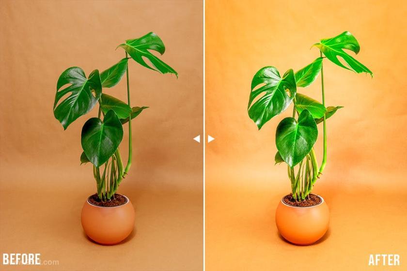25xt-126674 30ProductPhotographyLightroomPresetsz9.jpg