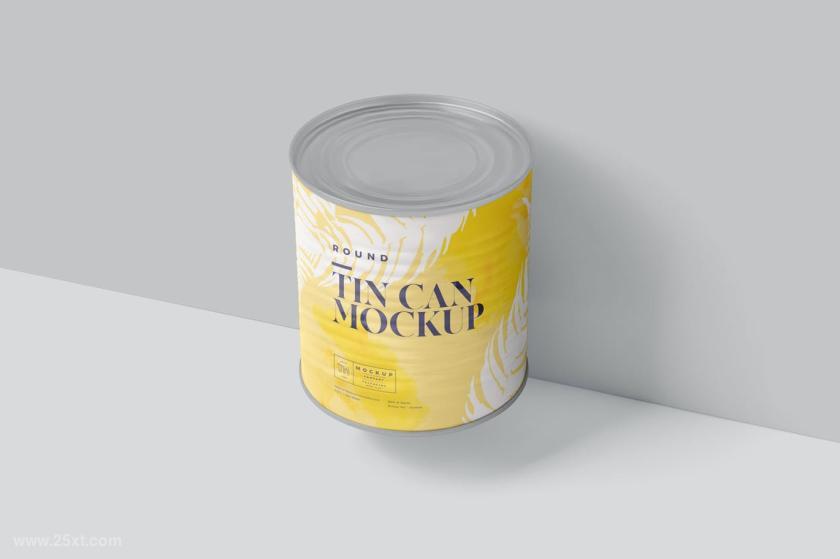 25xt-155288 TinCanwithLinesMockupsz7.jpg