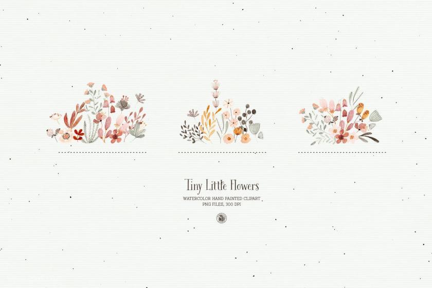 25xt-126746 WatercolorTinyLittleFlowerssetz7.jpg