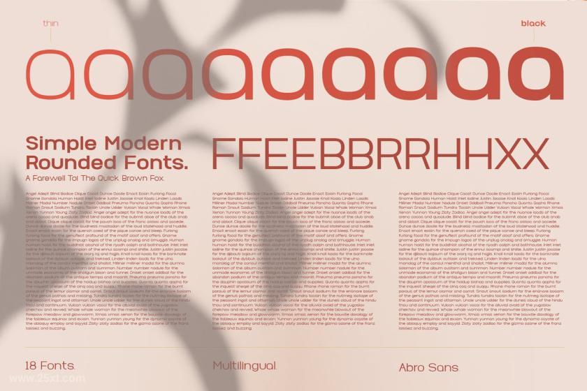 25xt-126766 AbroSans-EditorialSansSerifFontThintoBoldz3.jpg