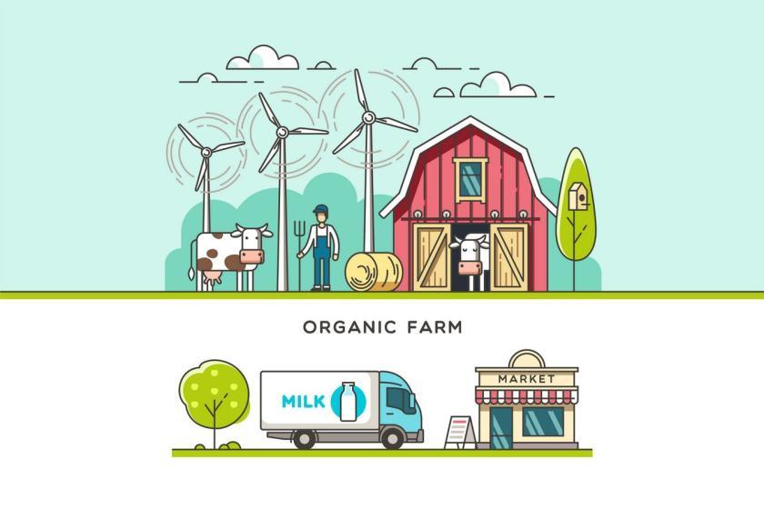 25xt-155497 OrganicFarmz5.jpg