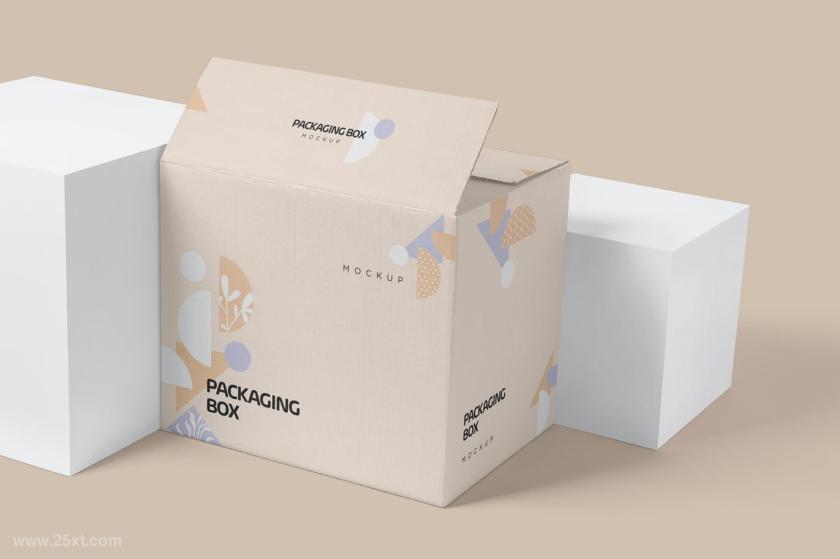 25xt-126539 7PackagingBoxMockupsz8.jpg