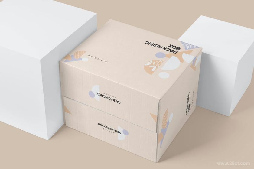 25xt-126539 7PackagingBoxMockupsz9.jpg