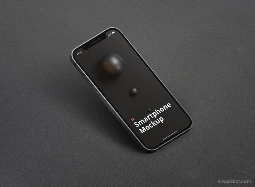25xt-155114 Phone12Mockupz14.jpg