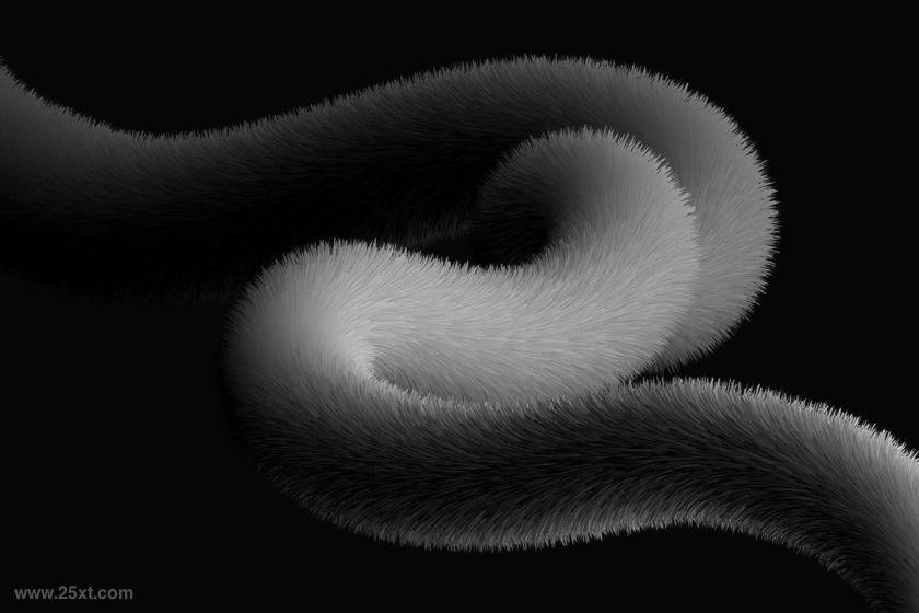 25xt-5042871 FluffyCurvedShapesVectorBackgroundsz12.jpg