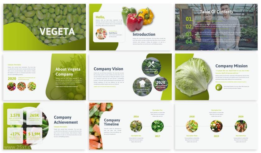 25xt-610017 Vegeta-BusinessKeynoteTemplatez3.jpg