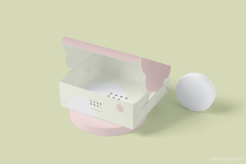 25xt-6500024 LargeSquareCakeCardboardBoxMockupsz8.jpg