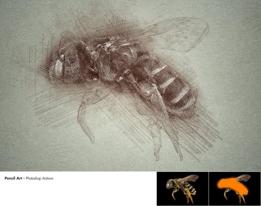 25xt-610500 PencilArt-PhotoshopActionsz10.jpg