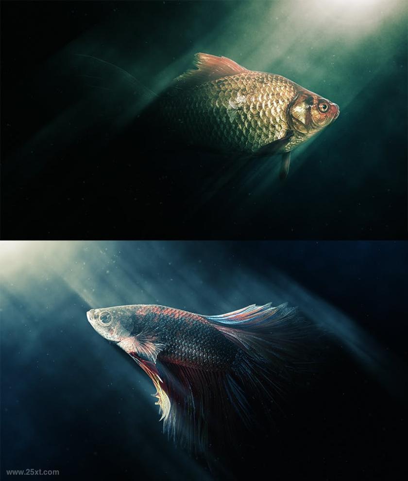 25xt-610501 LightDark-PhotoshopActionsz14.jpg