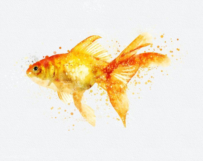 25xt-610509 WatercolorSplashArtPhotoshopActionz7.jpg