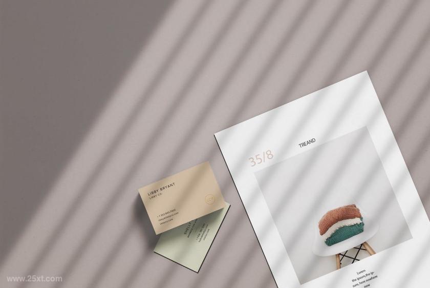 25xt-710527 CorporatedocumentBusinessCardmockupz3.jpg