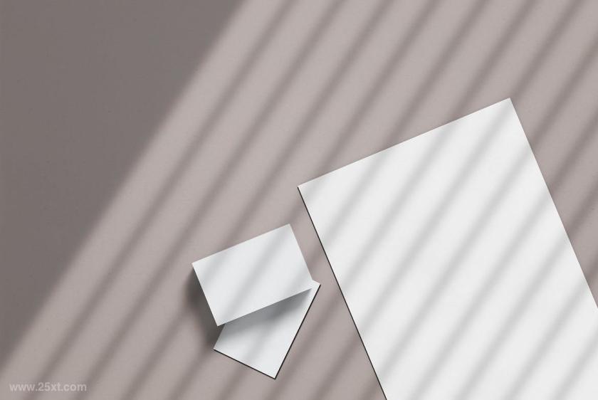 25xt-710527 CorporatedocumentBusinessCardmockupz4.jpg