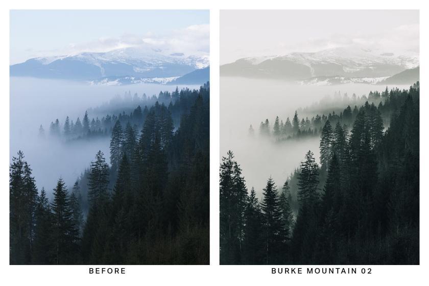 25xt-710020 20FoggyMorningLightroomPresetsandLUTsz5.jpg