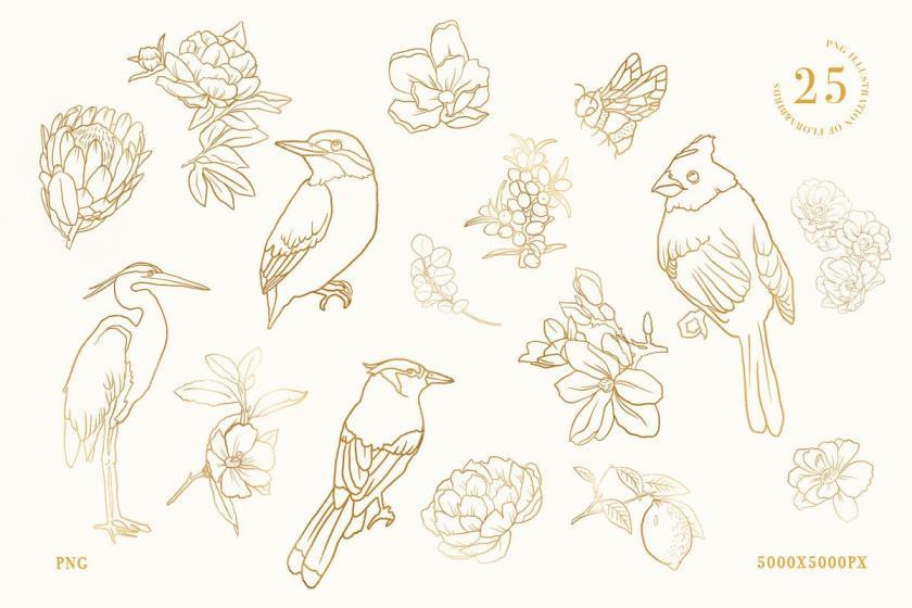 25xt-710642 CallofNatureCollageKitz5.jpg