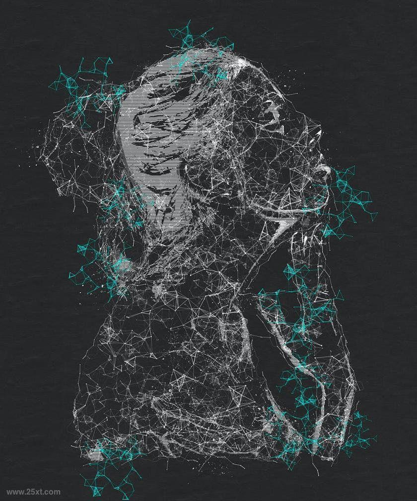 25xt-710735 Skeletum-PlexusArtPhotoshopActionz7.jpg