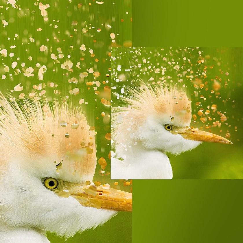 25xt-710739 Moleculum-СorpuscularPhotoshopActionz9.jpg