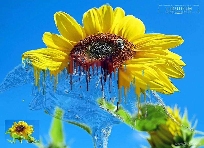 25xt-710751 Liquidum-TransparentPaintingPhotoshopActionz10.jpg