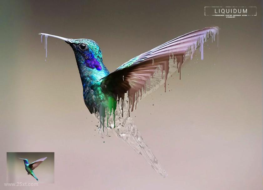 25xt-710751 Liquidum-TransparentPaintingPhotoshopActionz11.jpg