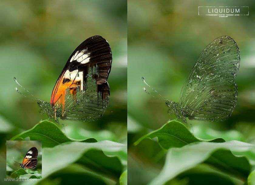 25xt-710751 Liquidum-TransparentPaintingPhotoshopActionz3.jpg