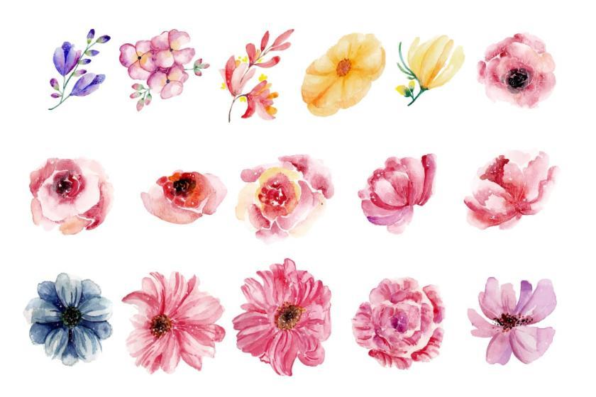 25xt-610859 FlowersandFoliageWatercolorSetVol1z6.jpg