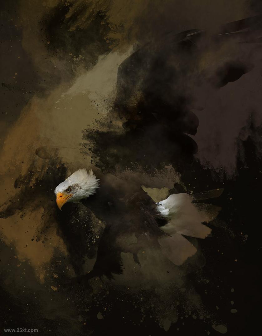 25xt-710783 DustPhotoshopActionz9.jpg