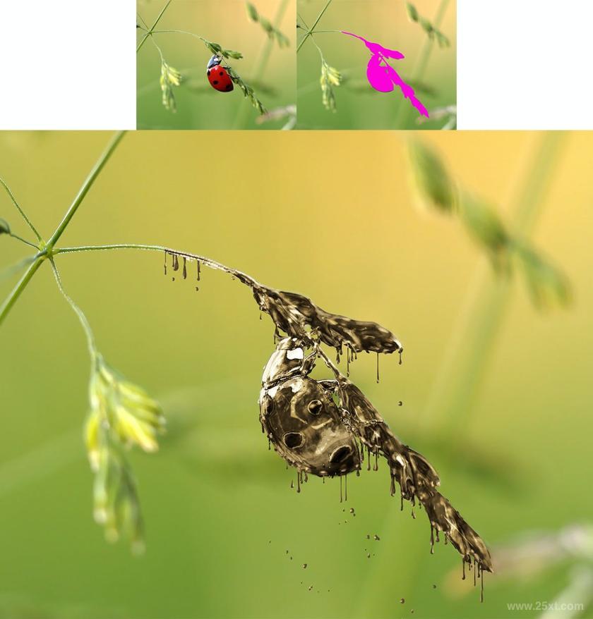 25xt-710839 DrippingGoldPhotoshopActionz16.jpg