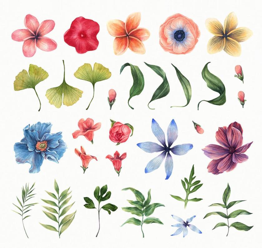 25xt-611009 WatercolorEnthusiastGraphicKitz7.jpg