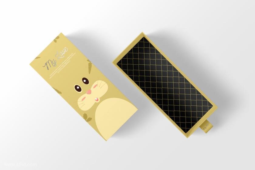 25xt-610091 BoxPackagingMockupz8.jpg