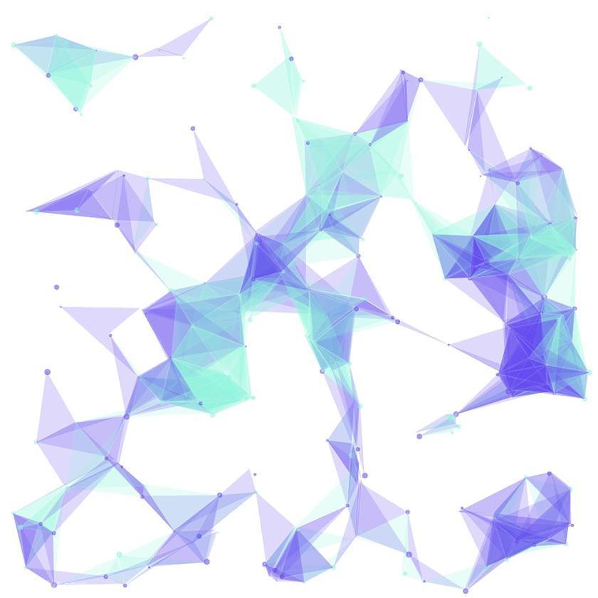 25xt-711013 PolygonGeometricCollection2z7.jpg