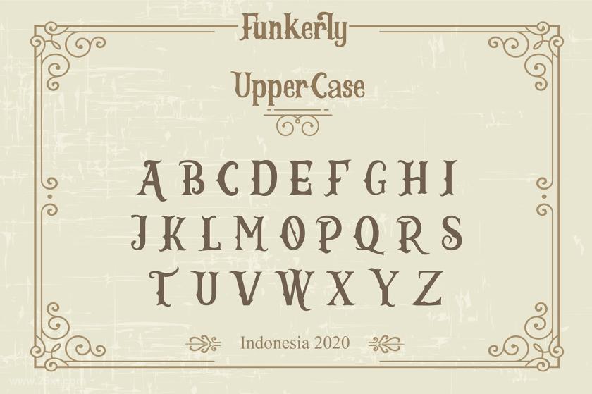25xt-710108 FunkerlyVintageTypefaceSerifFontz3.jpg