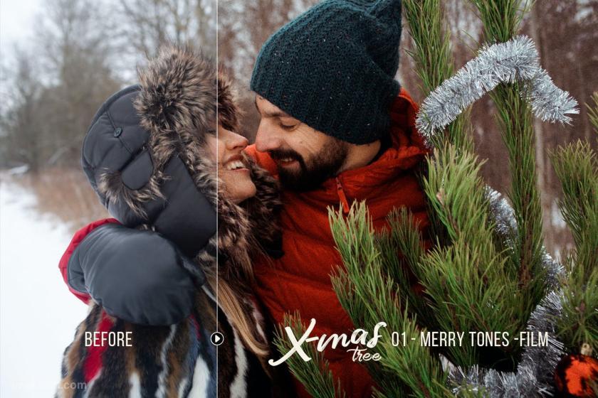 25xt-710119 XmasTree-WinterPhotographyPresetsz10.jpg