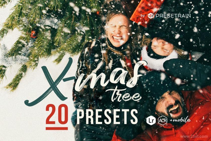 25xt-710119 XmasTree-WinterPhotographyPresetsz11.jpg