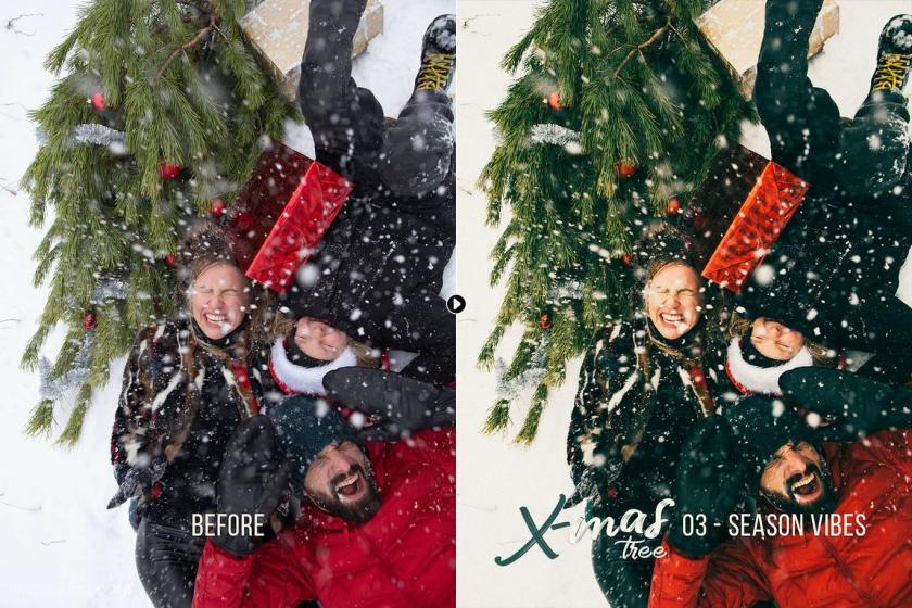 25xt-710119 XmasTree-WinterPhotographyPresetsz5.jpg