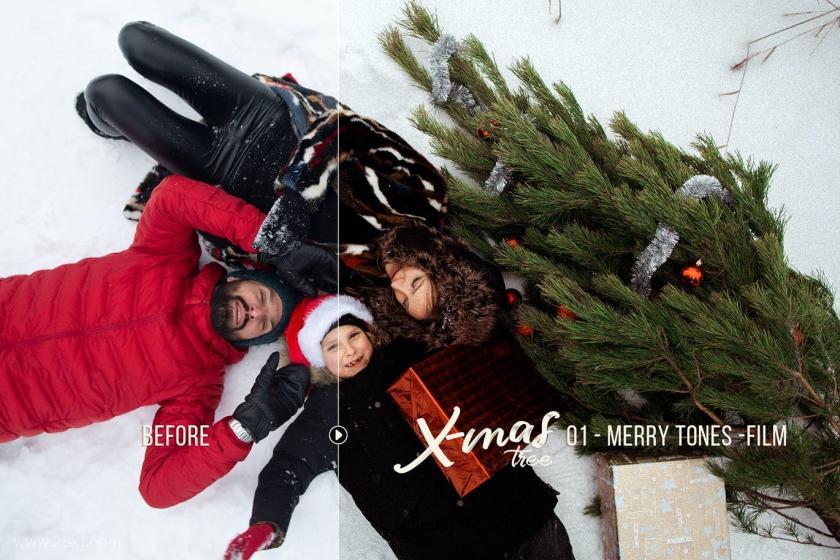 25xt-710119 XmasTree-WinterPhotographyPresetsz9.jpg