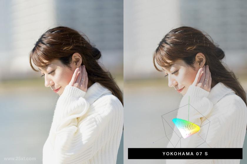 25xt-710121 50JapanMoodLightroomPresetsLUTsz7.jpg