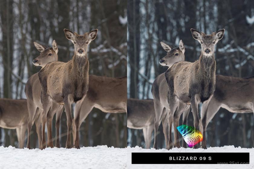25xt-710181 50WinterSnowscapeLightroomPresetsandLUTsz4.jpg