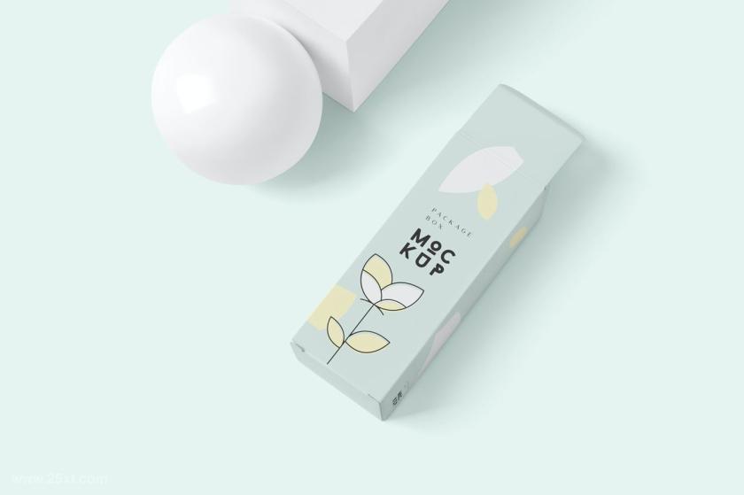 25xt-711281 PackageBoxMock-Up-LongRectanglez9.jpg