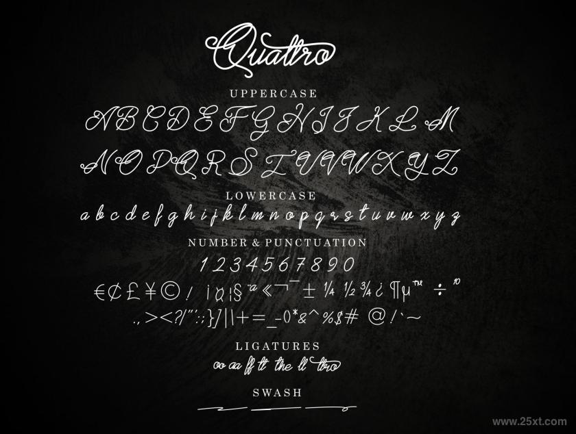 25xt-711293 QuattroScriptFontz4.jpg