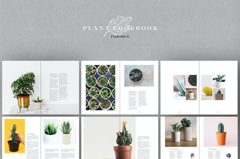 25xt-711356 PlantLookbookz3.jpg