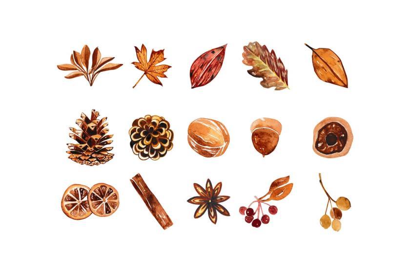25xt-611512 AutumnWatercolorV1z3.jpg