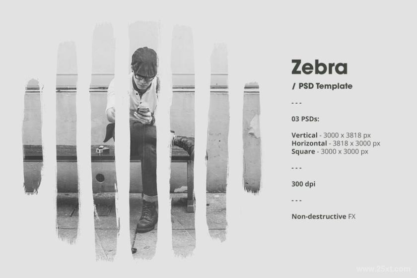 25xt-611755 Zebraz4.jpg